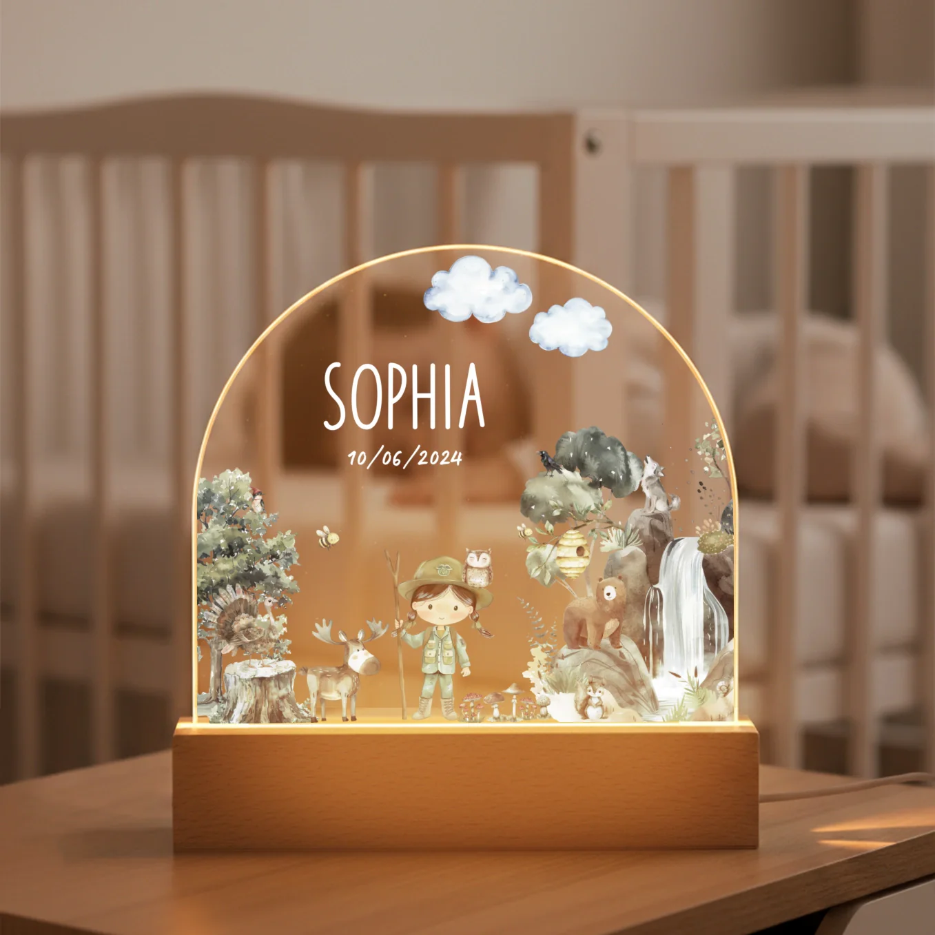 Personalized Nightlight "Wilderness" - Image 13
